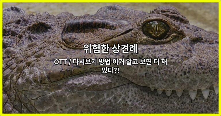 위험한 상견례 OTT / 다시보기 방법 이거 알고 보면 더 재밌다?!