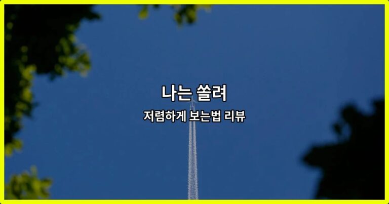 나는 쏠려 저렴하게 보는법 리뷰